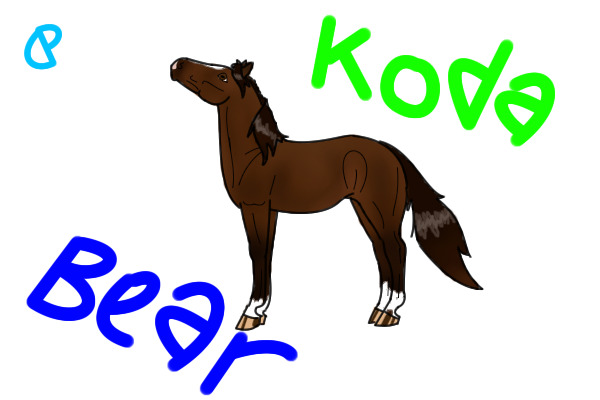 Koda Bear