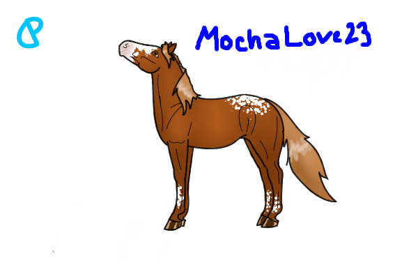 Adoptable!