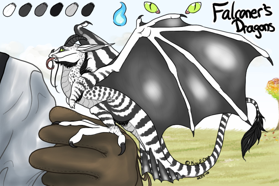 Falconer's Dragons V.2 closed/hiatus