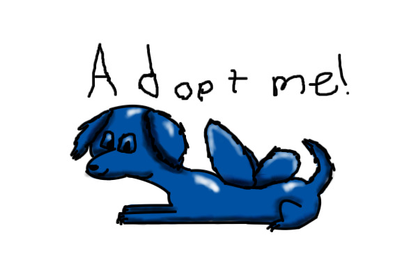 Adopt a Pixie dog!