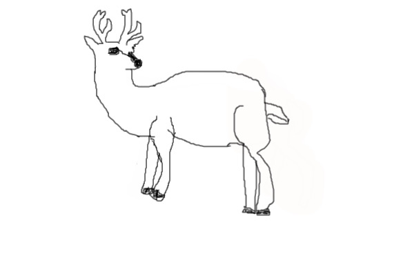 Deer (Need Opinion)