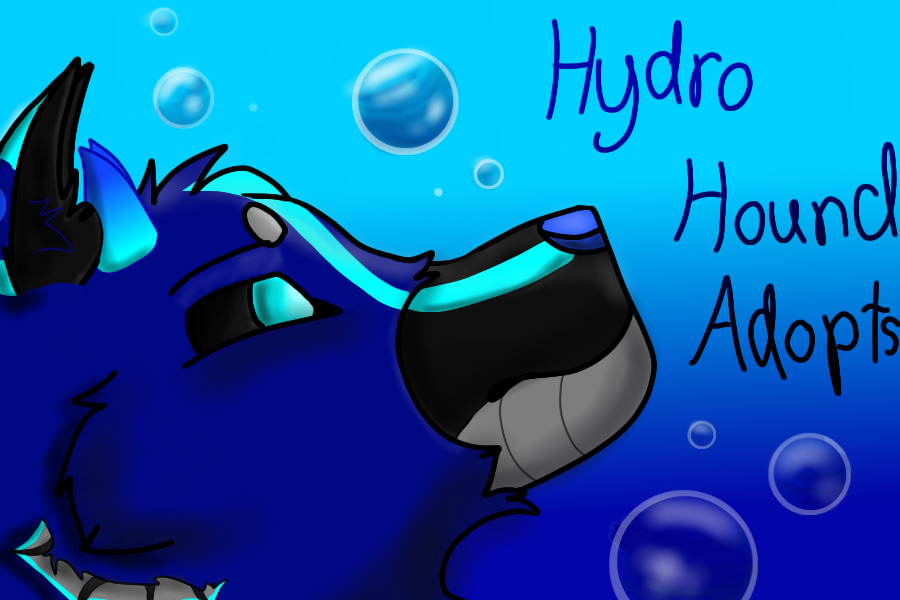 Hydro Hound Adopts! Looking For Staff!
