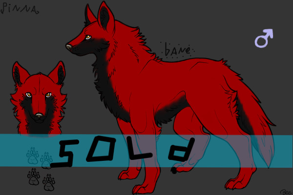 Wolf Oc For Sale! C$ Or Pets!