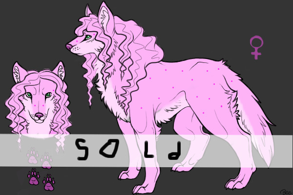Wolf For Sale! [closed]