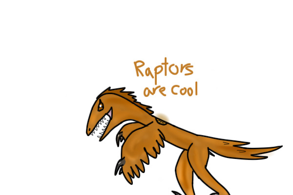 Answer #3 Raptors
