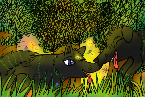 Blacky running to greet her sister Lucky