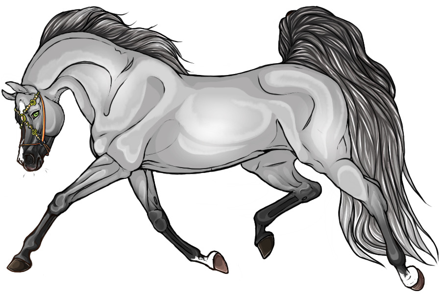 Neteru Shadow Walker; Light Grey Stallion