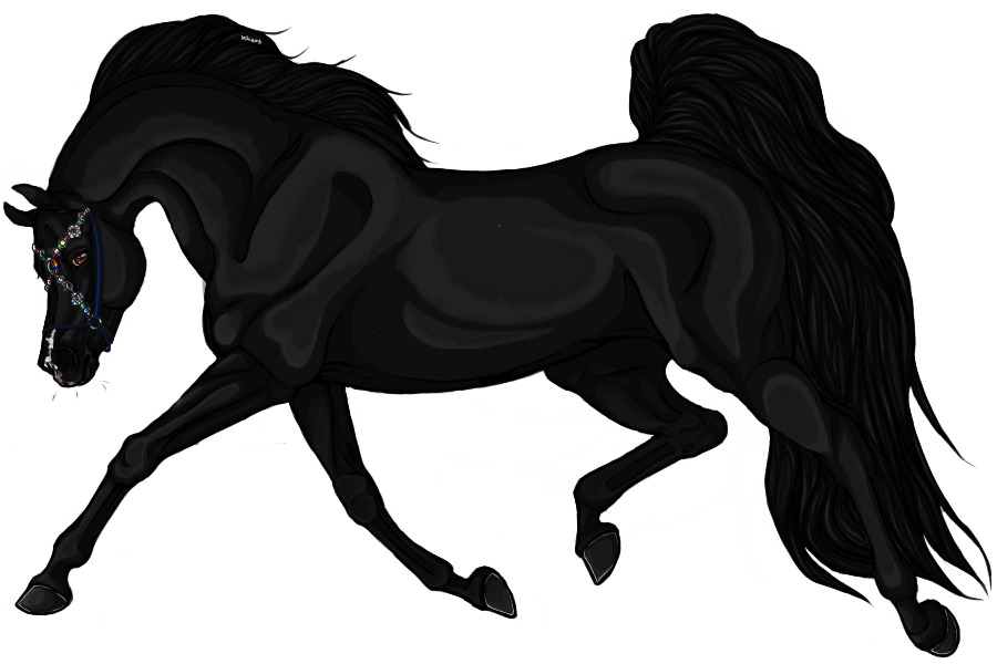 Neteru Shadow Walker; Black Stallion