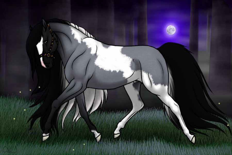 ~❊~ #94 Midnight Stallions ~❊~