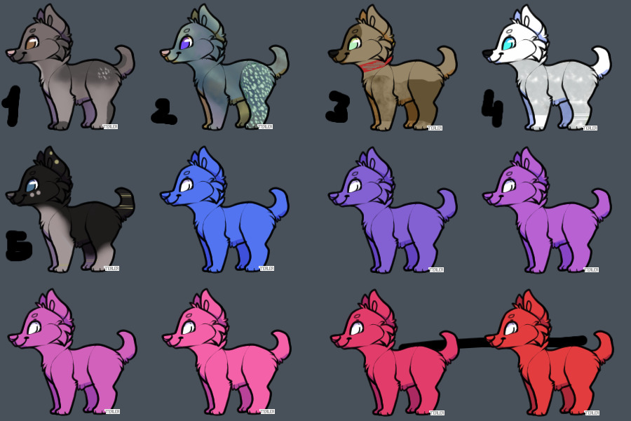 ADOPTS FOR 1 UNCOMMON
