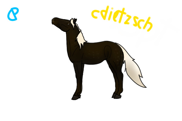 Adoptable!