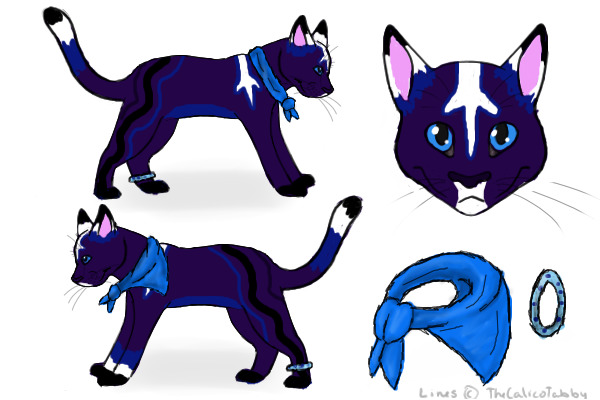 Entry Character