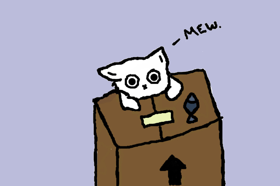 Kitty Climbing A Box