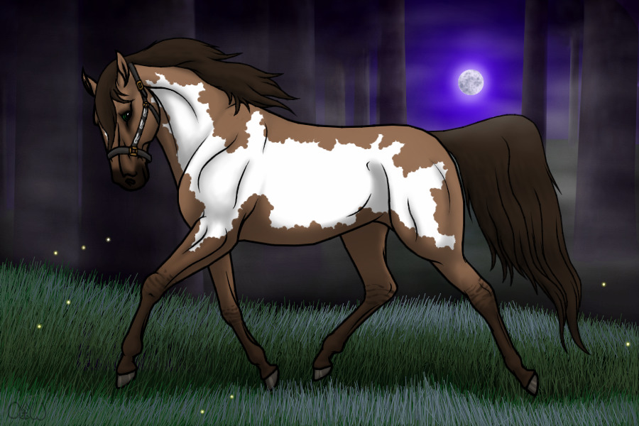 ~❊~ #95 Midnight Stallions ~❊~