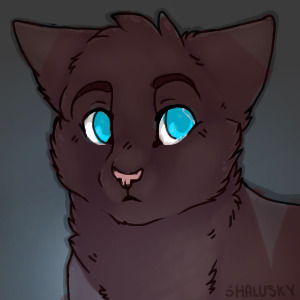 Cat recolor