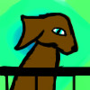 Dog avatar