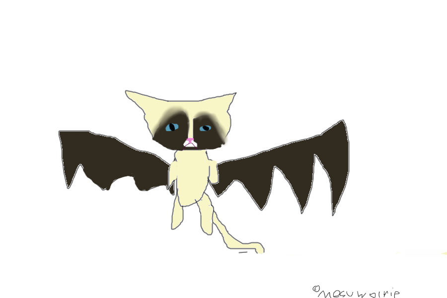 grumpy BAT