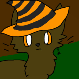 lil halloween cat