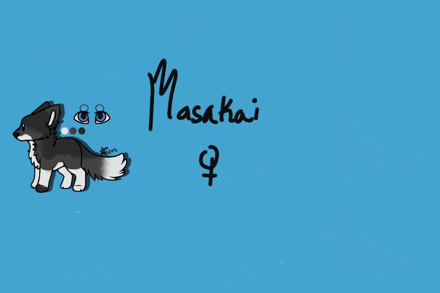 Masakai the husky