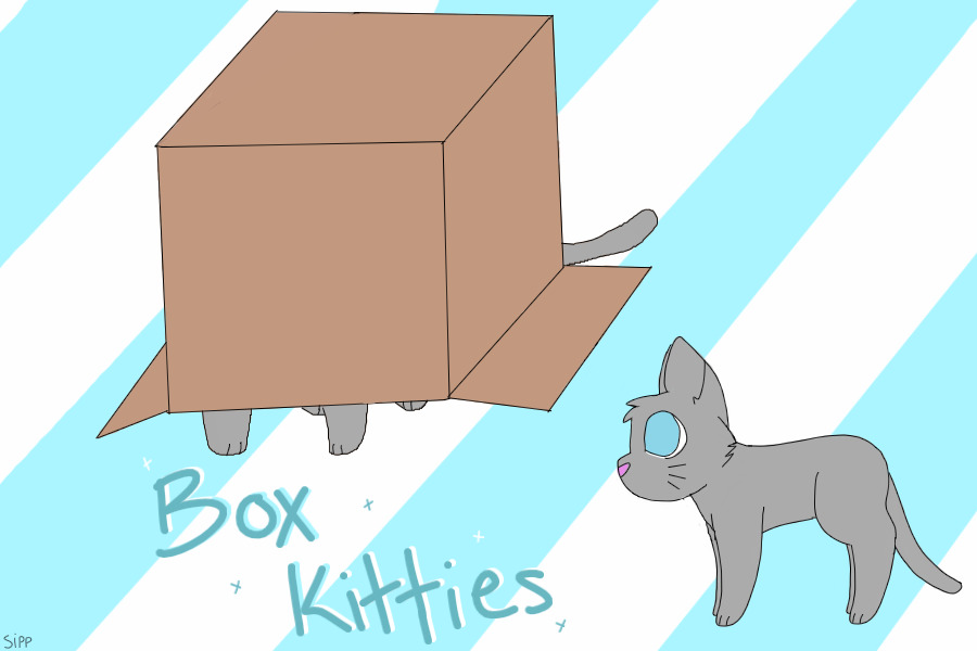 Box Kitties - Grand Opening!