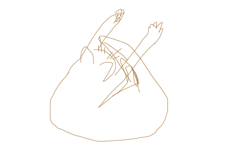 cat sketch 2