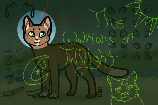 The Warriors of Twilight{Warrior cat adopts!} REOPENING!