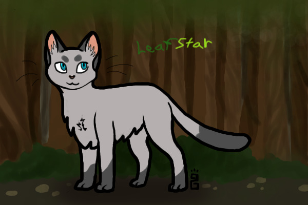 Custom cat for KARKATVANTAS69