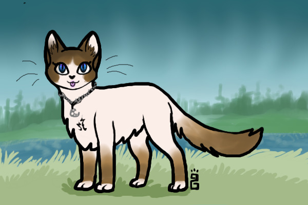 Custom cat for this_girl_alyssa