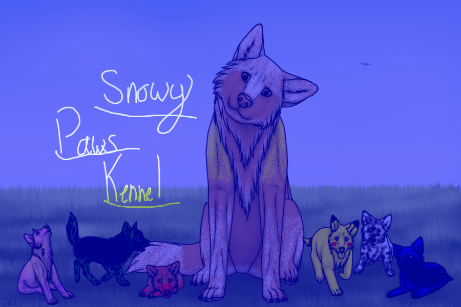 Snowy Paws Kennel ~Open~