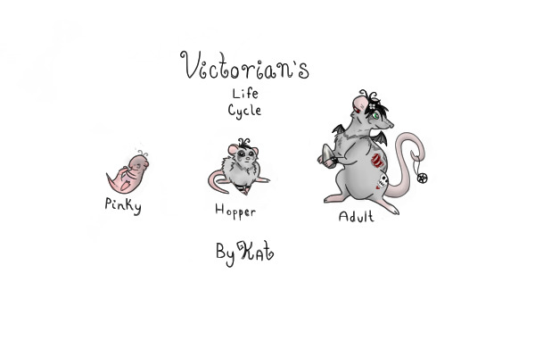 Victorian's life cycle. <3