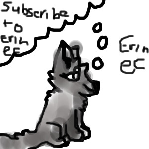 subscribe to erin ec