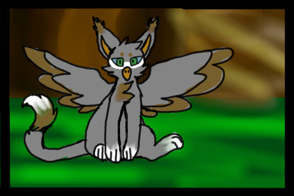 Kittowl