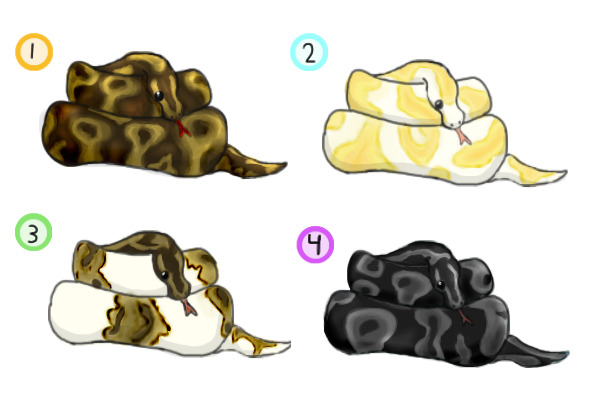 Adoptable ball pythons