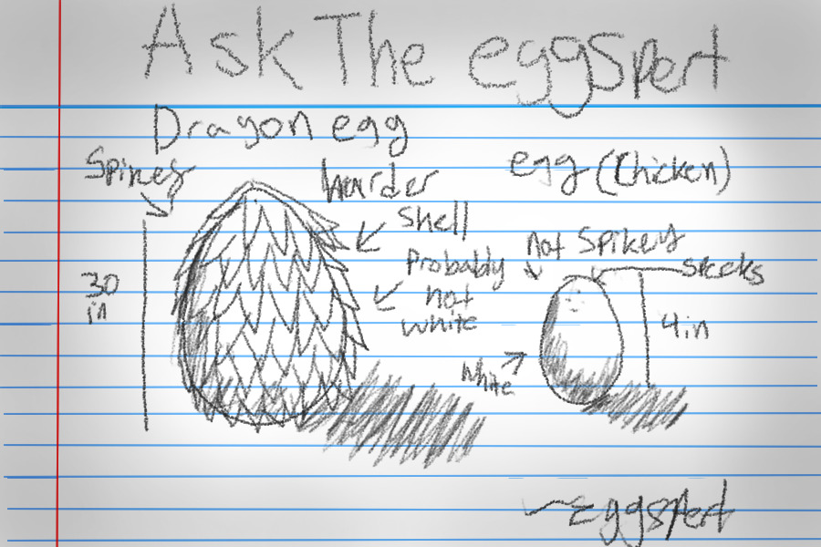 Eggspert 5