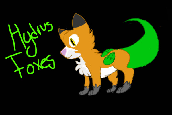 Hydrus Foxes
