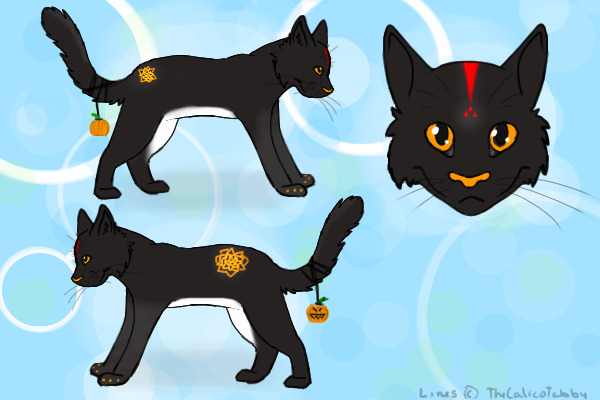 pumpkin kitty