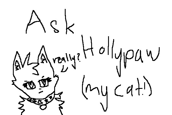 ask hollypaw (my cat)
