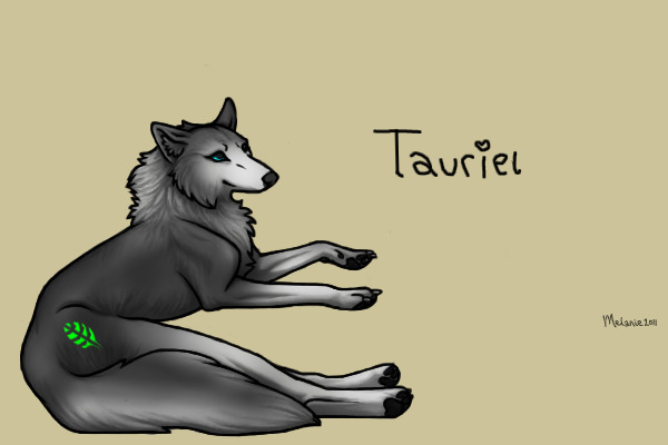 Grey Wolf | #1 | F |  Tauriel