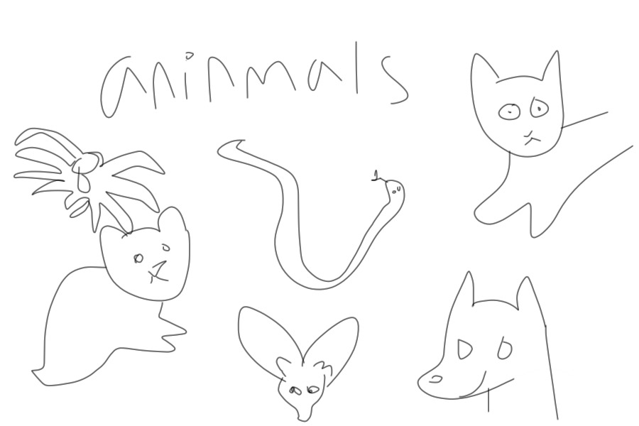 what are aninmals?