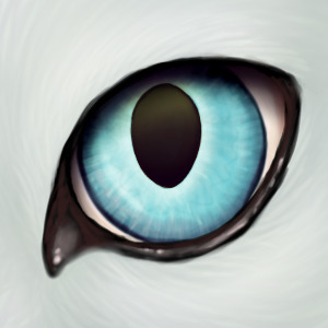 StormDust's Eyeaball