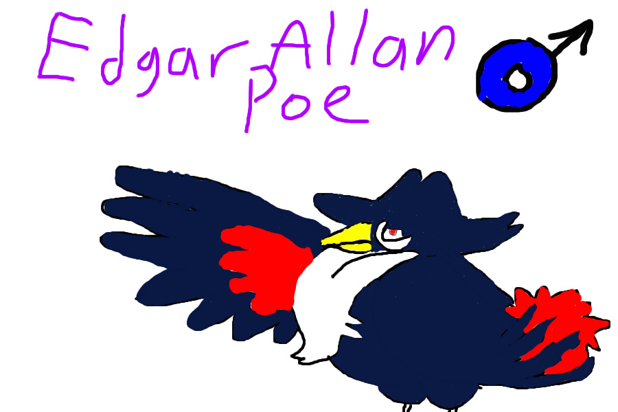 Edgar Allan Poe the Honchkrow