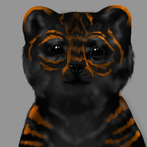 A Little Tiger Cub