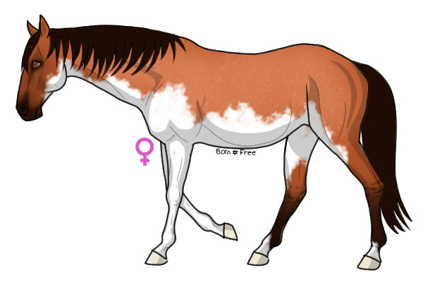 Breeding for Spiritstar3
