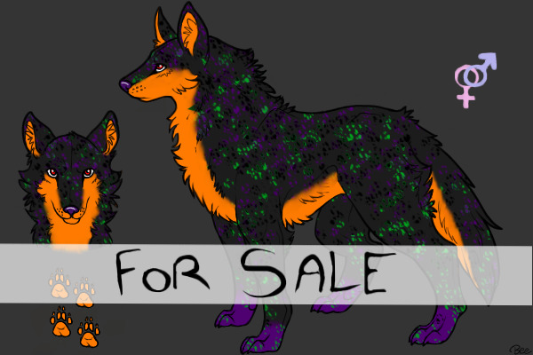 Wolf #2 For Sale