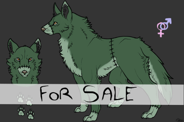Wolf #3 For Sale