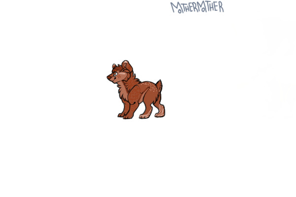 the bab