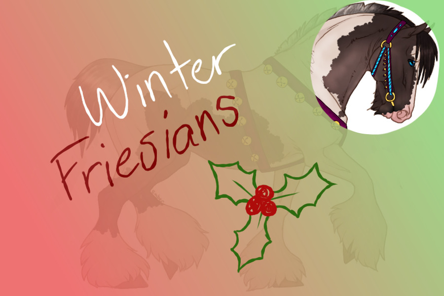 Winter Friesians (khimaira friesians)