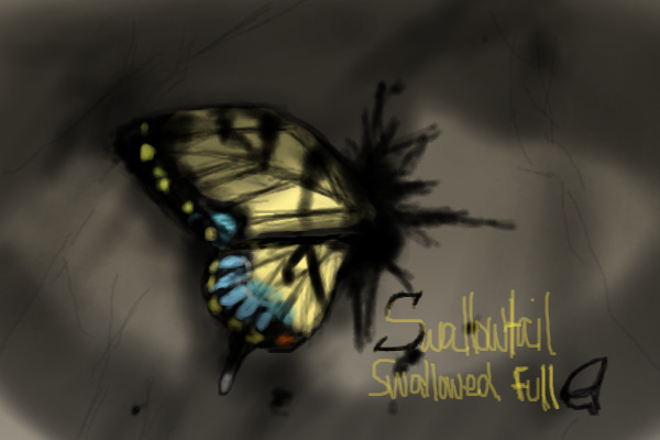Swallowtail swallowed full. COVER
