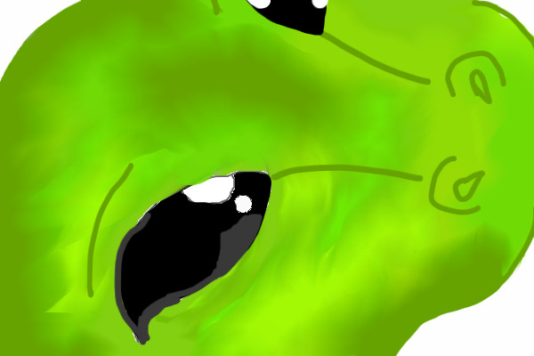 lizard