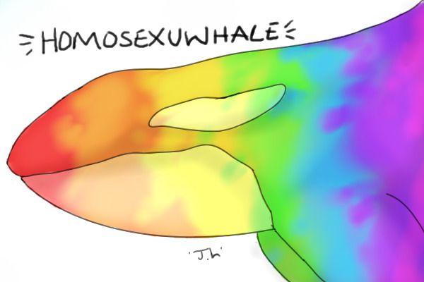 HOMOSEXUWHALE
